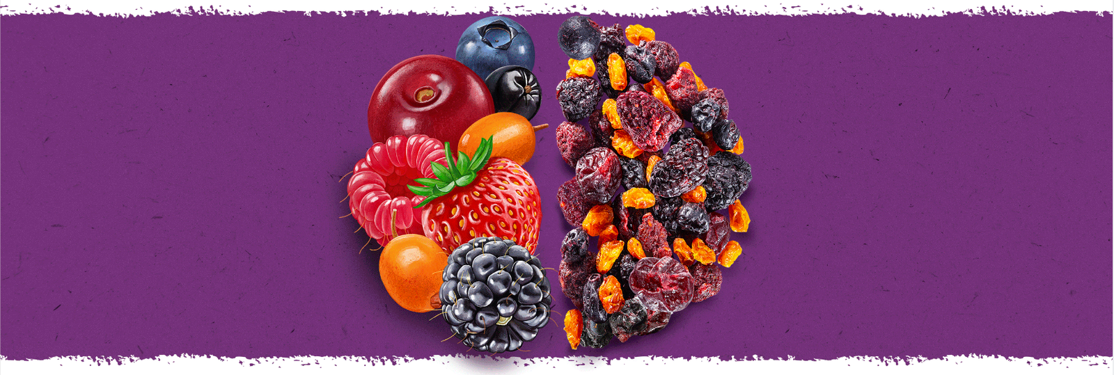 Screenshot (964) ALOR Mini Pack of Nutritious Freeze-Dried Fruits Apple (15 g)